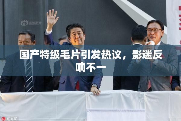 国产特级毛片引发热议，影迷反响不一