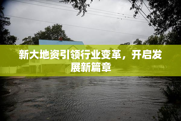 新大地资引领行业变革，开启发展新篇章