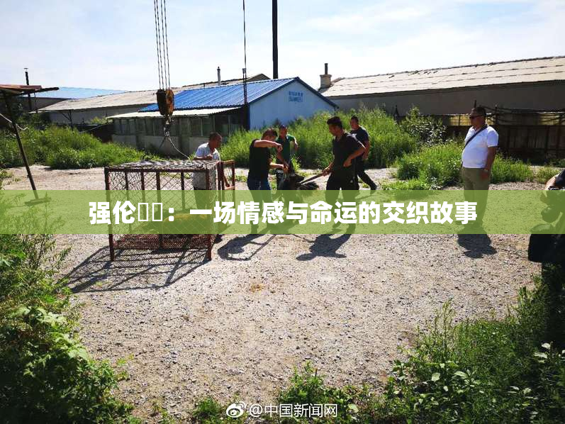 强伦妺妺：一场情感与命运的交织故事