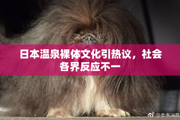 日本温泉裸体文化引热议，社会各界反应不一
