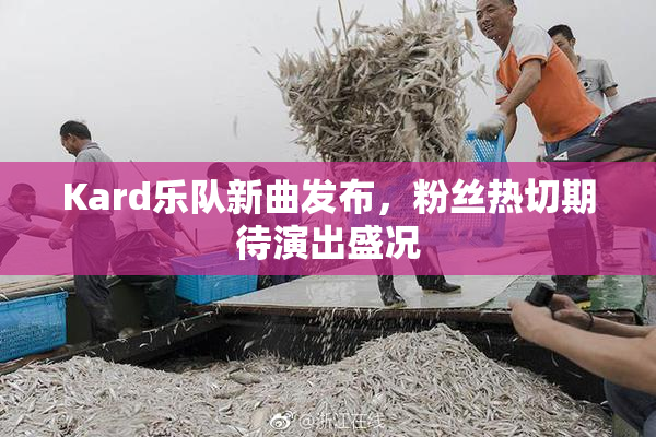 Kard乐队新曲发布，粉丝热切期待演出盛况