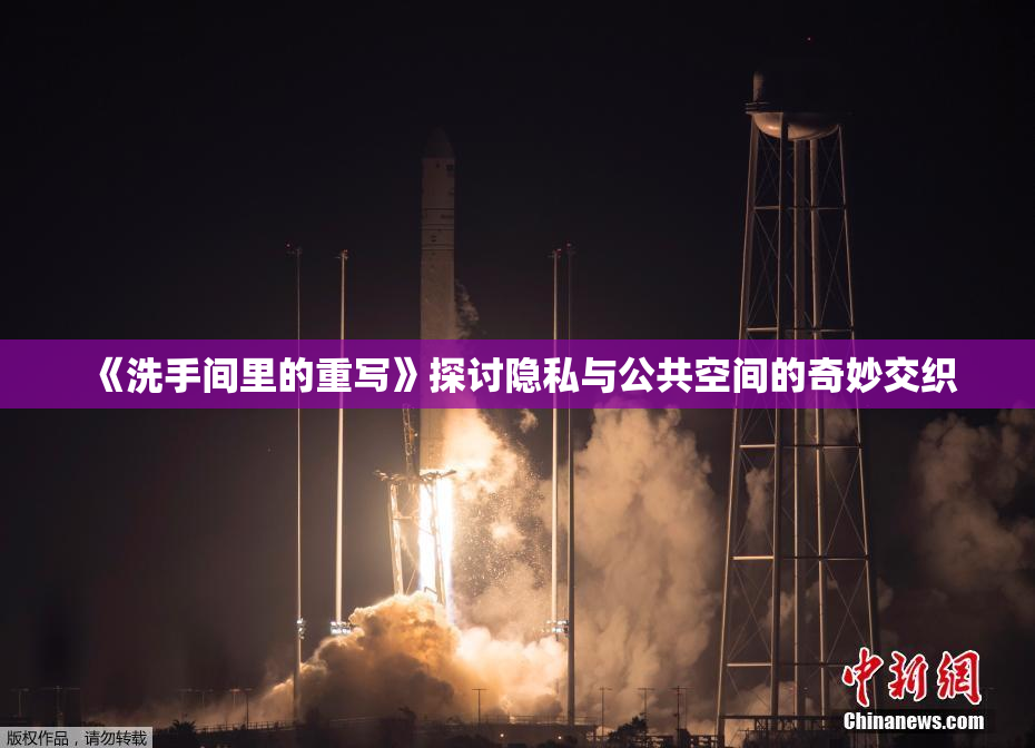 《洗手间里的重写》探讨隐私与公共空间的奇妙交织