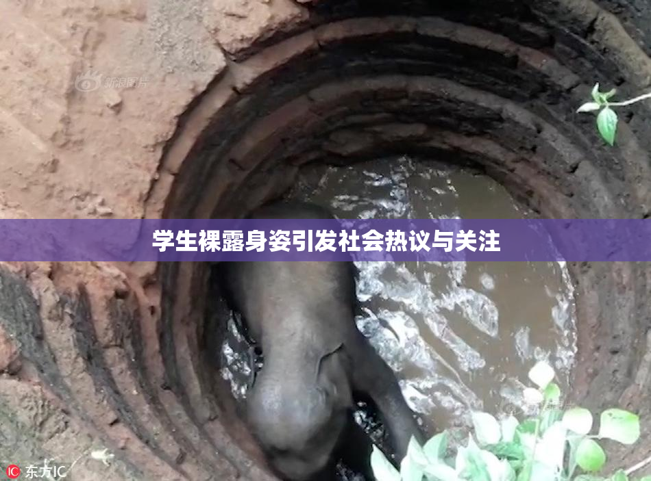 学生裸露身姿引发社会热议与关注