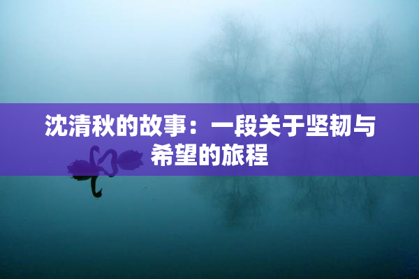 沈清秋的故事：一段关于坚韧与希望的旅程