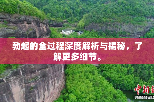 勃起的全过程深度解析与揭秘，了解更多细节。