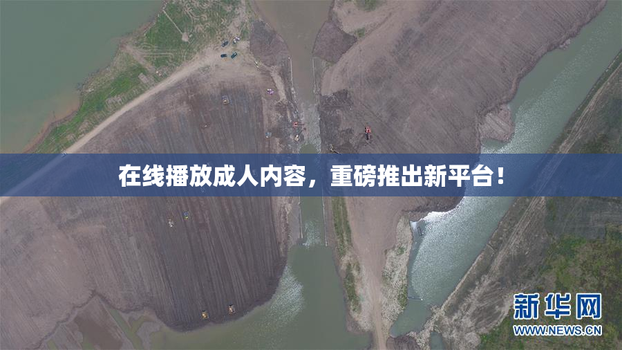 在线播放成人内容，重磅推出新平台！