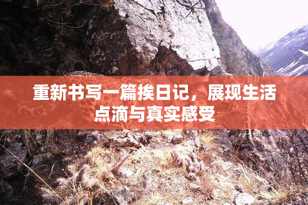 重新书写一篇挨日记，展现生活点滴与真实感受
