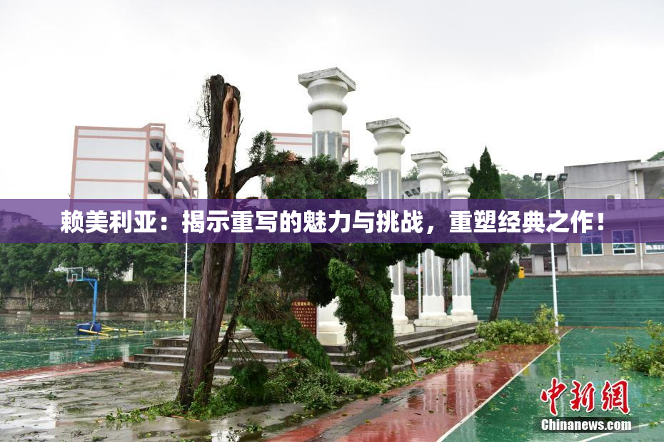 赖美利亚：揭示重写的魅力与挑战，重塑经典之作！