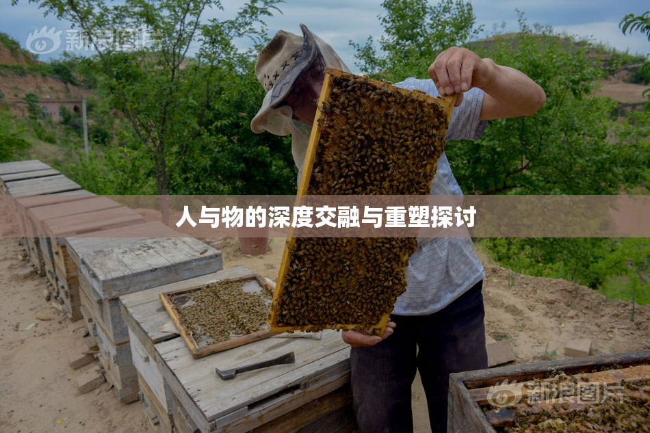 人与物的深度交融与重塑探讨