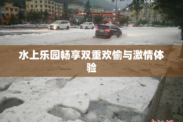 水上乐园畅享双重欢愉与激情体验