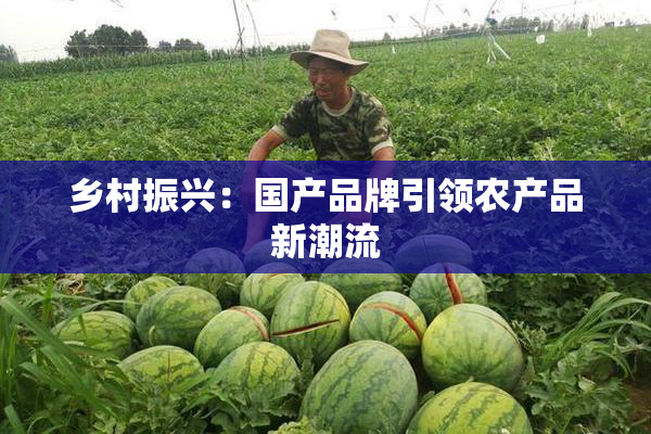 乡村振兴：国产品牌引领农产品新潮流