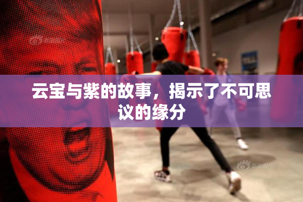 云宝与紫的故事，揭示了不可思议的缘分