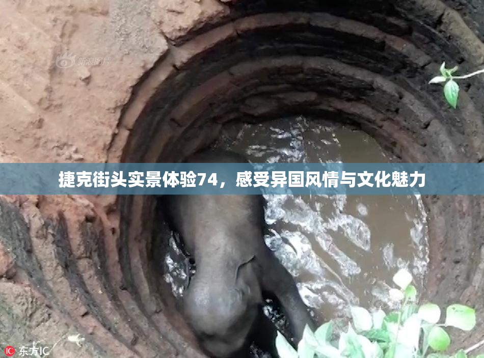 捷克街头实景体验74，感受异国风情与文化魅力