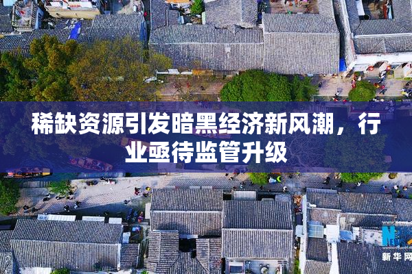 稀缺资源引发暗黑经济新风潮，行业亟待监管升级