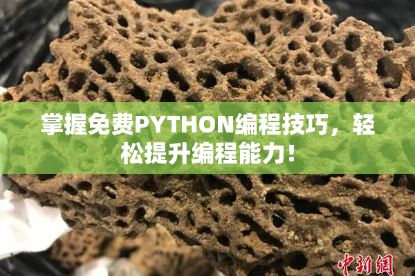 掌握免费PYTHON编程技巧，轻松提升编程能力！