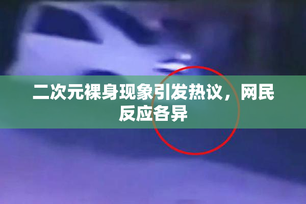 二次元裸身现象引发热议，网民反应各异