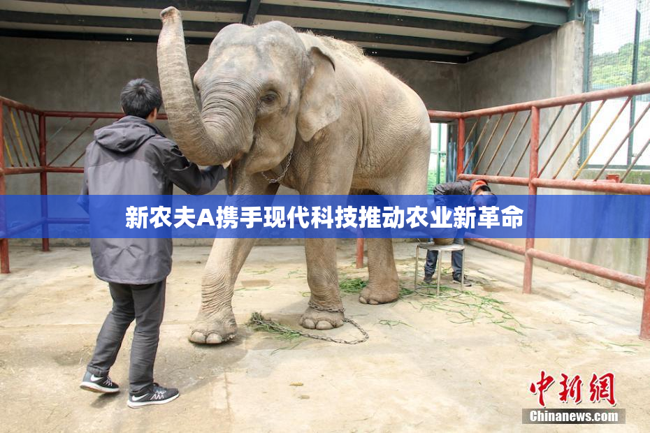 新农夫A携手现代科技推动农业新革命