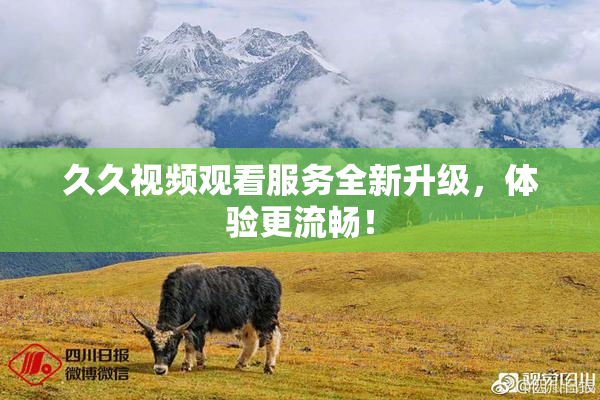 久久视频观看服务全新升级，体验更流畅！