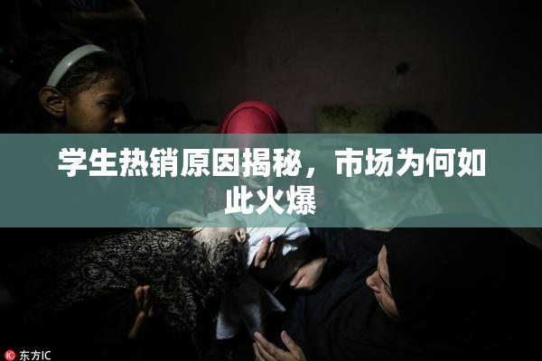 学生热销原因揭秘，市场为何如此火爆