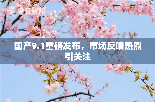 国产9.1重磅发布，市场反响热烈引关注