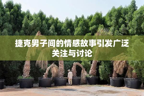 捷克男子间的情感故事引发广泛关注与讨论