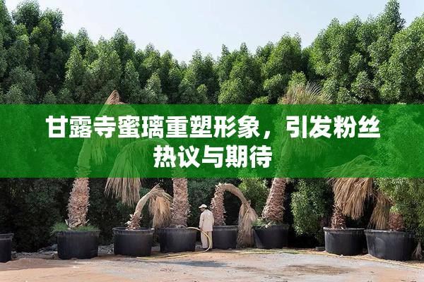 甘露寺蜜璃重塑形象，引发粉丝热议与期待