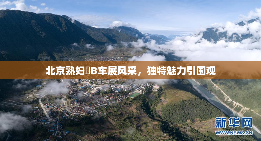 北京熟妇槡B车展风采，独特魅力引围观