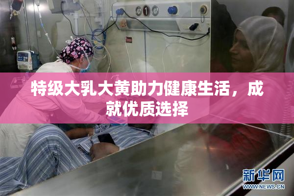 特级大乳大黄助力健康生活，成就优质选择