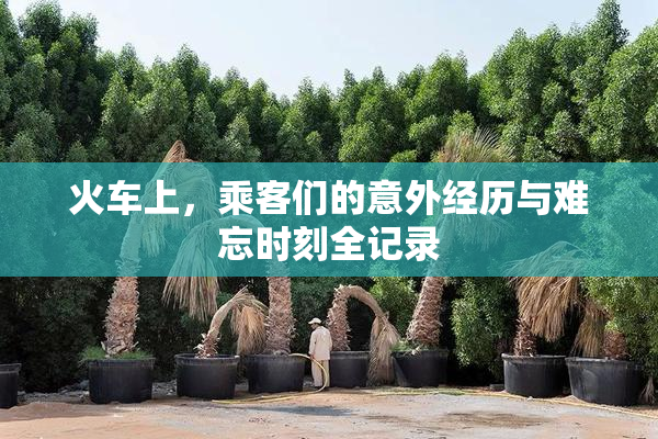 火车上，乘客们的意外经历与难忘时刻全记录