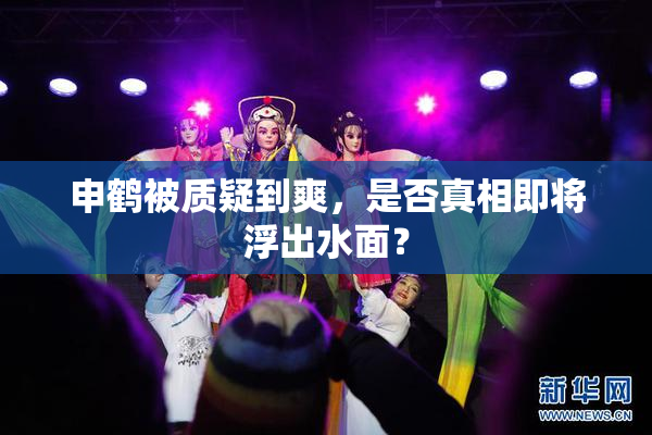申鹤被质疑到爽，是否真相即将浮出水面？