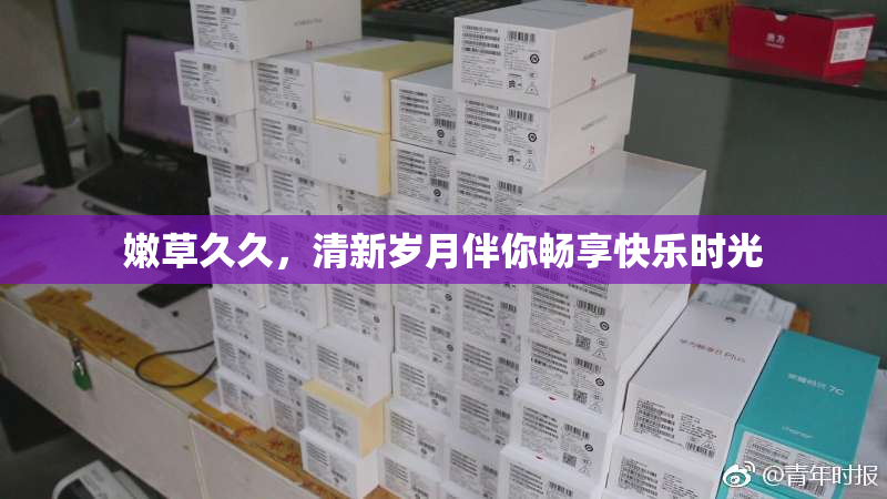 嫩草久久，清新岁月伴你畅享快乐时光