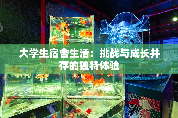 大学生宿舍生活：挑战与成长并存的独特体验