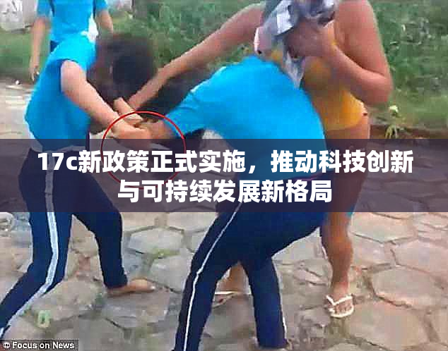 17c新政策正式实施，推动科技创新与可持续发展新格局