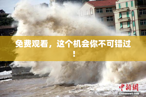免费观看，这个机会你不可错过！