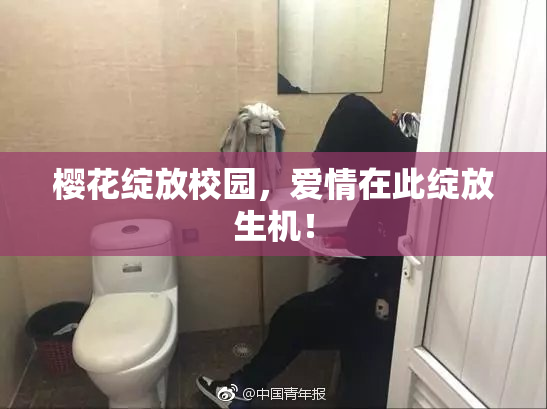 樱花绽放校园，爱情在此绽放生机！