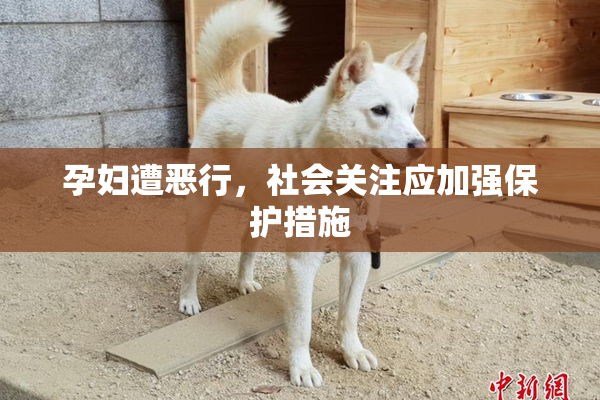 孕妇遭恶行，社会关注应加强保护措施
