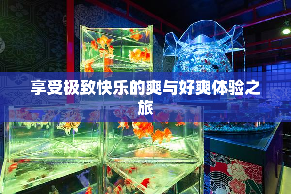 享受极致快乐的爽与好爽体验之旅