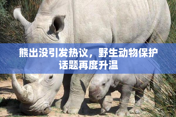 熊出没引发热议，野生动物保护话题再度升温