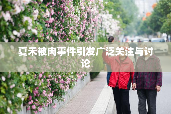 夏禾被肉事件引发广泛关注与讨论