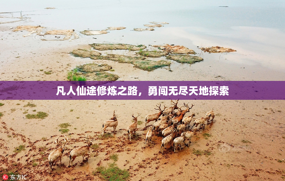 凡人仙途修炼之路，勇闯无尽天地探索