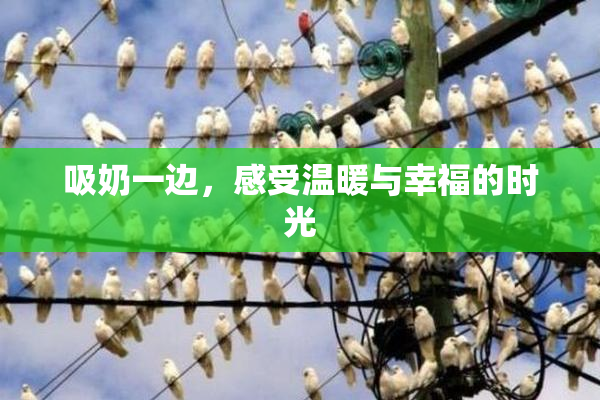 吸奶一边，感受温暖与幸福的时光