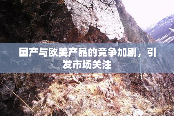 国产与欧美产品的竞争加剧，引发市场关注