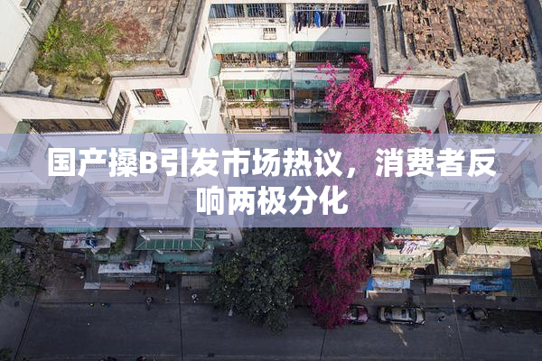 国产搡B引发市场热议，消费者反响两极分化