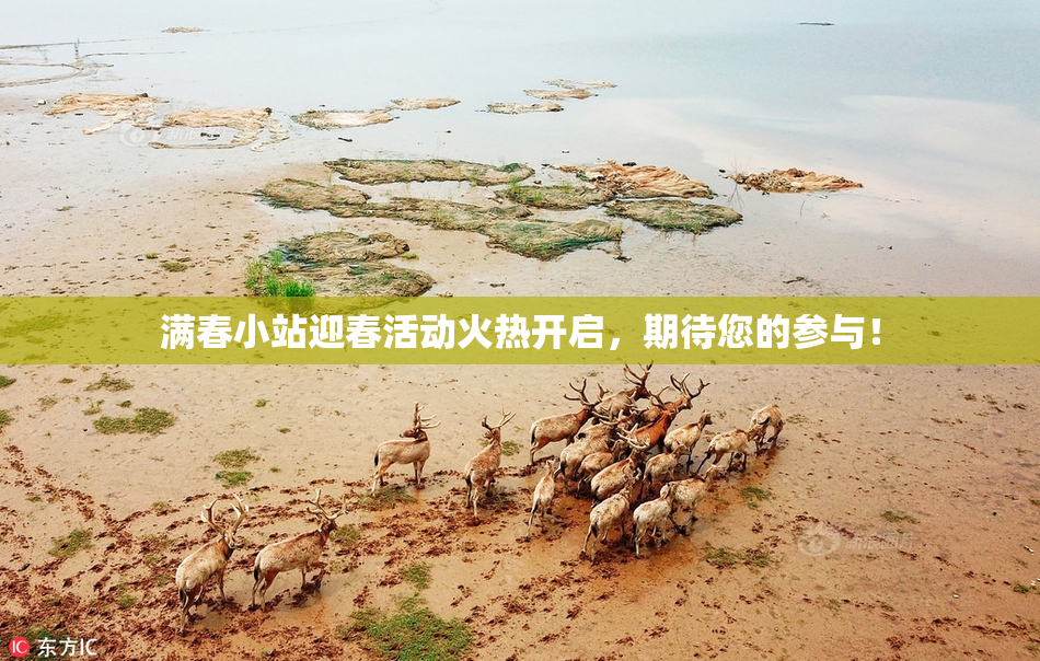 满春小站迎春活动火热开启，期待您的参与！