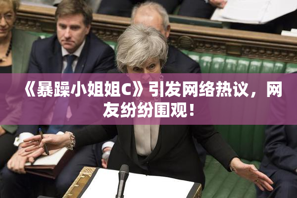 《暴躁小姐姐C》引发网络热议，网友纷纷围观！