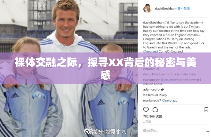 裸体交融之际，探寻XX背后的秘密与美感