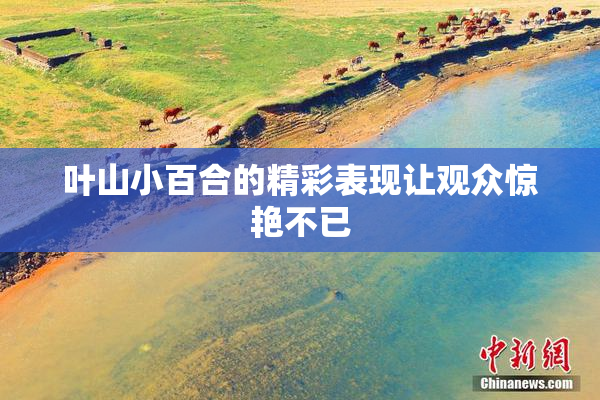 叶山小百合的精彩表现让观众惊艳不已