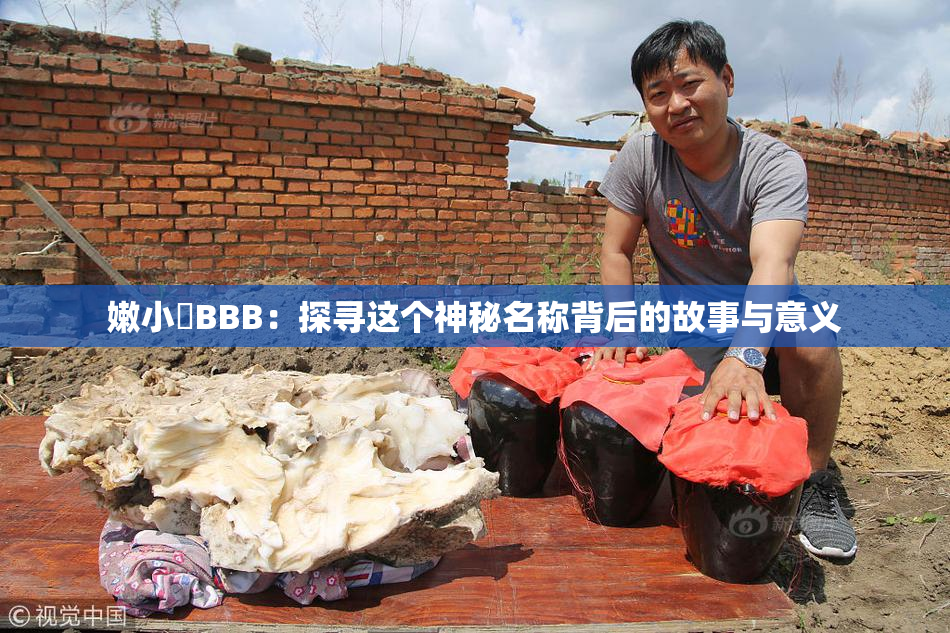嫩小槡BBB：探寻这个神秘名称背后的故事与意义