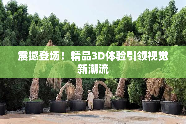 震撼登场！精品3D体验引领视觉新潮流