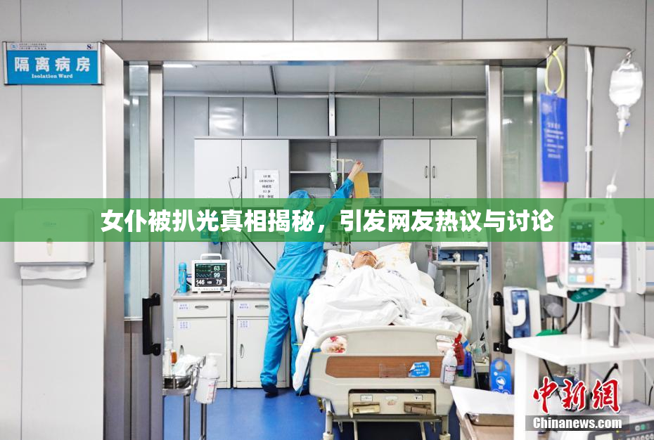 女仆被扒光真相揭秘，引发网友热议与讨论